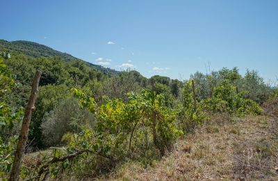 Mlýn na prodej Cortona, strada provinciale 34, Toscana, Foto 12/35