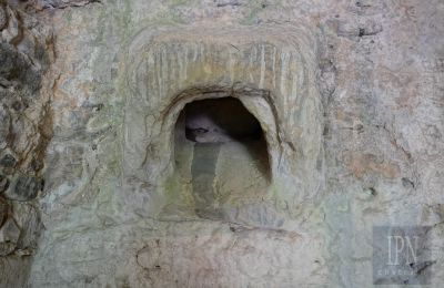 Mlýn na prodej Cortona, strada provinciale 34, Toscana, Foto 15/35