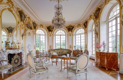 Zámek na prodej Abbeville, Hauts-de-France, Salón