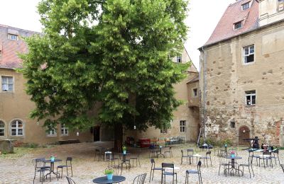 Zámek na prodej Mühlberg/Elbe, Schlossplatz 1, Brandenburg, Foto 8/20