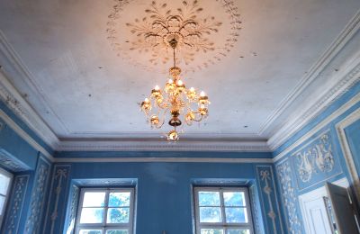 Zámek na prodej Siedlec, Pałac w Siedlcu, Velkopolské, Salón