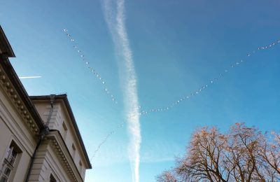 Zámek na prodej Siedlec, Pałac w Siedlcu, Velkopolské, Foto 20/20