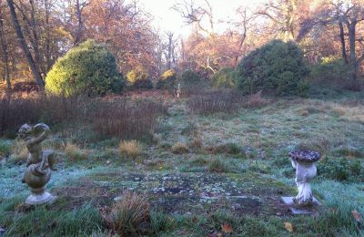 Zámek na prodej Siedlec, Pałac w Siedlcu, Velkopolské, Park