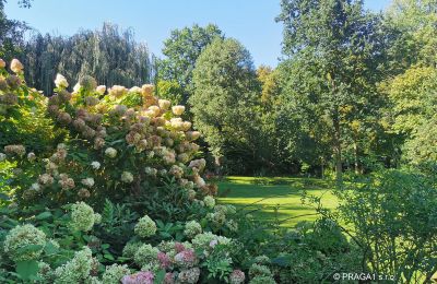 Mlýn na prodej Netvořice, okres Benešov, Foto 16/21