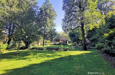 Mlýn na prodej Netvořice, okres Benešov, Foto 2/21