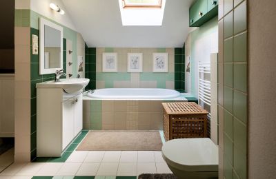 Mlýn na prodej Netvořice, okres Benešov, Foto 11/21