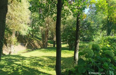 Mlýn na prodej Netvořice, okres Benešov, Foto 21/21