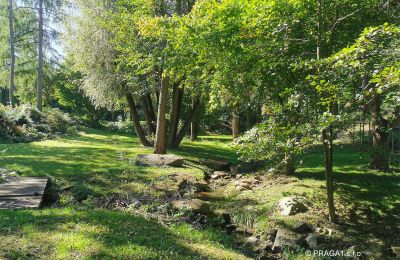 Mlýn na prodej Netvořice, okres Benešov, Foto 15/21