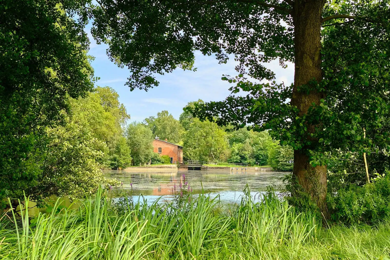 29451 Dannenberg, Niedersachsen na prodej