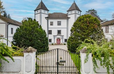 Zámek na prodej 4693 Desselbrunn, Oberösterreich, Die herrschaftliche Rückansicht im Nordosten des Ensembles