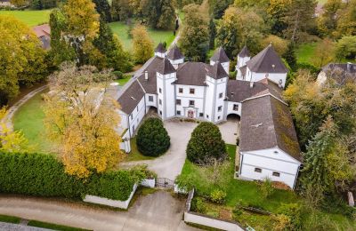 Zámek na prodej 4693 Desselbrunn, Oberösterreich, Foto z dronu
