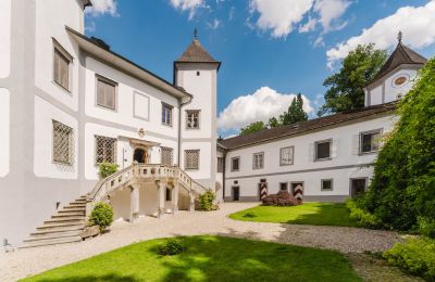 Zámek na prodej 4693 Desselbrunn, Horní Rakousy, ... Geschichte und Eleganz