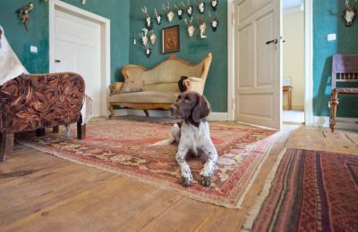 Zámeček na prodej 19386 Kreien, Rosenstraße 32, Meklenbursko-Přední Pomořansko, Foto 7/32