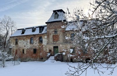 Zámek na prodej Komorowice, Wrocławska 27, Dolní Slezsko, Foto 21/27