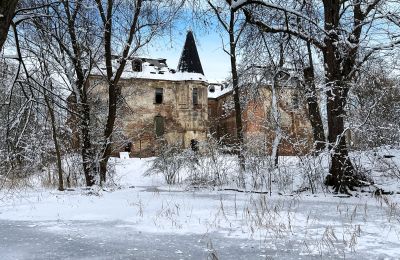 Zámek na prodej Komorowice, Wrocławska 27, Dolní Slezsko, Foto 24/27