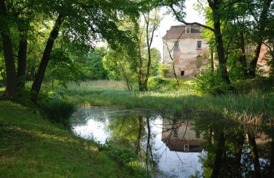 Zámek na prodej Komorowice, Wrocławska 27, Dolní Slezsko, Park
