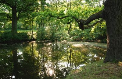 Zámek na prodej Komorowice, Wrocławska 27, Dolní Slezsko, Foto 15/27