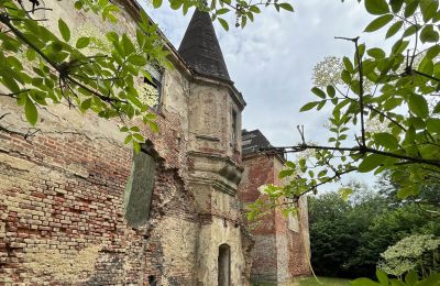 Zámek na prodej Komorowice, Wrocławska 27, Dolní Slezsko, Foto 3/27