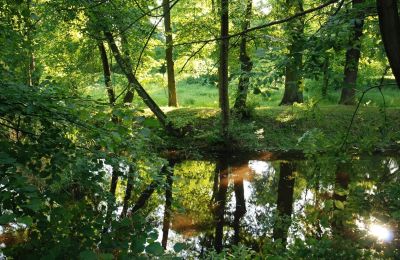 Zámek na prodej Komorowice, Wrocławska 27, Dolní Slezsko, Foto 18/27