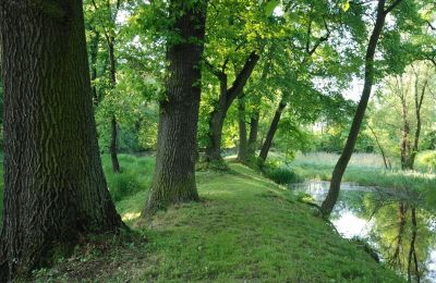 Zámek na prodej Komorowice, Wrocławska 27, Dolní Slezsko, Foto 19/27