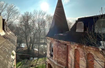 Zámek na prodej Komorowice, Wrocławska 27, Dolní Slezsko, Foto 5/27