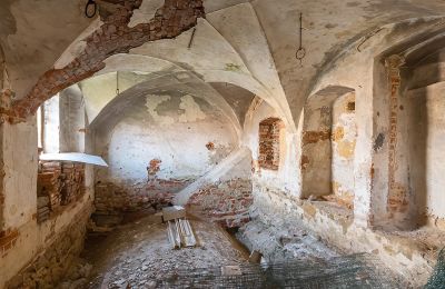 Zámek na prodej Komorowice, Wrocławska 27, Dolní Slezsko, Pohled na interiér 1