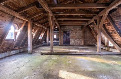 Zámek na prodej Komorowice, Wrocławska 27, Dolní Slezsko, Foto 11/27