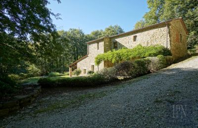 Historická nemovitost na prodej 06019 Umbertide, Umbria, Foto 18/47