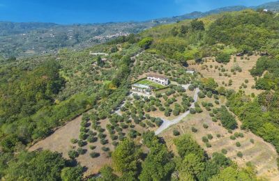 Historická nemovitost na prodej Montecatini Terme, Toscana, Foto 3/20