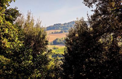 Venkovský dům na prodej 40060 Dozza, Ferraruola  1, Emilia-Romagna, Výhled