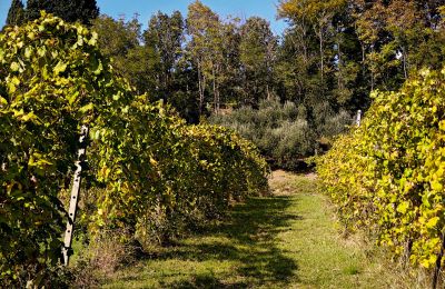 Venkovský dům na prodej 40060 Dozza, Ferraruola  1, Emilia-Romagna, Foto 18/26