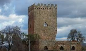  Alcaraz 3