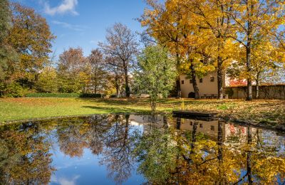 Zámek na prodej Trnová, okres Praha-západ, Foto 40/53