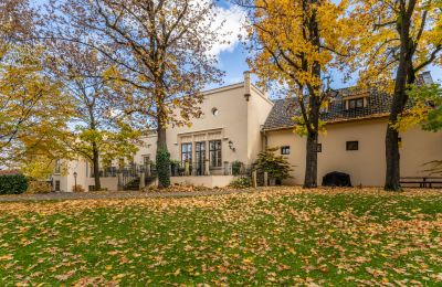 Zámek na prodej Trnová, okres Praha-západ, Foto 42/53