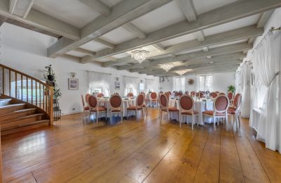 Zámek na prodej Trnová, okres Praha-západ, Velký sál