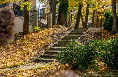 Zámek na prodej Trnová, okres Praha-západ, Foto 51/53