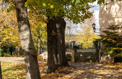 Zámek na prodej Trnová, okres Praha-západ, Foto 53/53