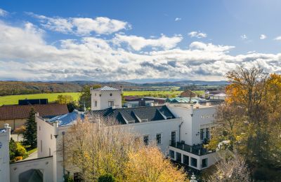 Zámek na prodej Trnová, okres Praha-západ, Foto 28/53