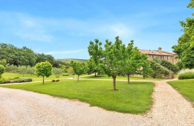 Venkovský dům na prodej Borgo Santa Rita, Toskánsko, Foto 5/31