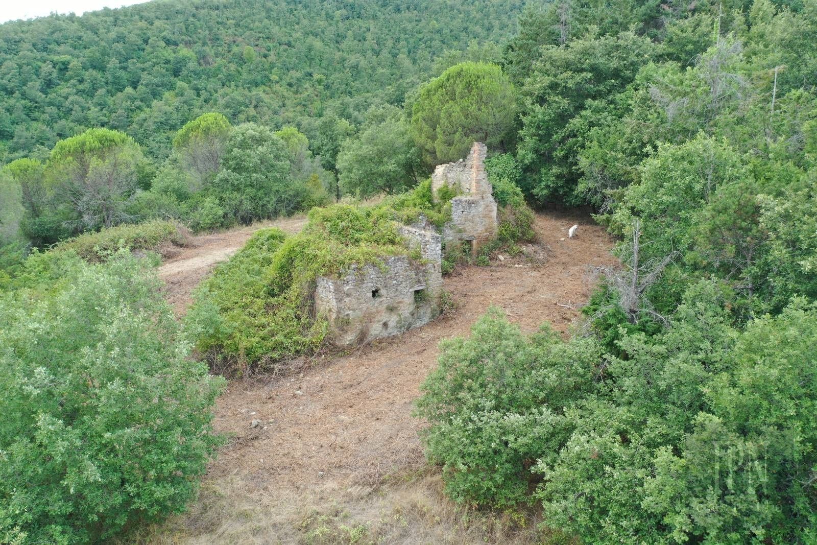 Obrázky Kamenný dům v Pian di Marte s ruinou a 2,8 ha pozemku