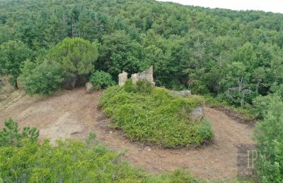 Venkovský dům na prodej 06060 Pian di Marte, Umbria, Foto 3/14