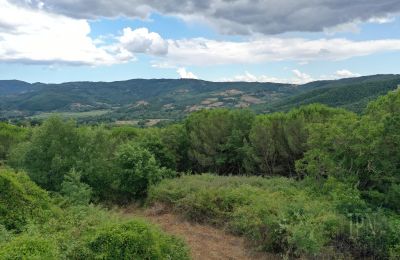 Venkovský dům na prodej 06060 Pian di Marte, Umbria, Foto 7/14