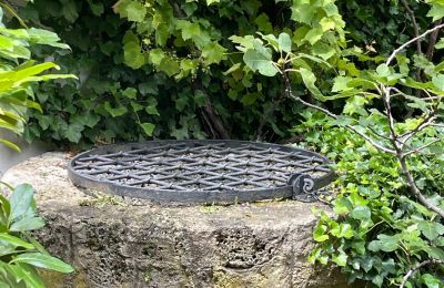 Zámek na prodej 84375 Kirchdorf am Inn, Hofmarkstraße 2, Bayern, Schlossbrunnen