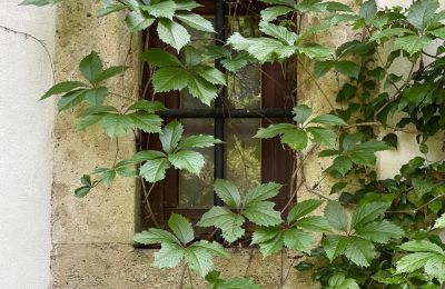 Zámek na prodej 84375 Kirchdorf am Inn, Hofmarkstraße 2, Bayern, eines von 4 Tuffsteinfenstern im EG