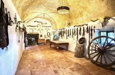 Hrad na prodej San Vicente de Alcántara, Extremadura, Foto 18/36