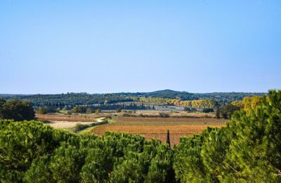 Hrad na prodej Pouzilhac, Occitanie, Foto 43/43