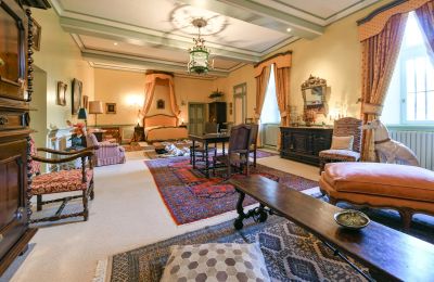 Hrad na prodej Pouzilhac, Occitanie, Foto 16/43