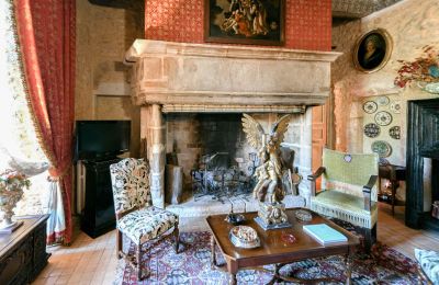 Hrad na prodej Pouzilhac, Occitanie, Foto 21/43