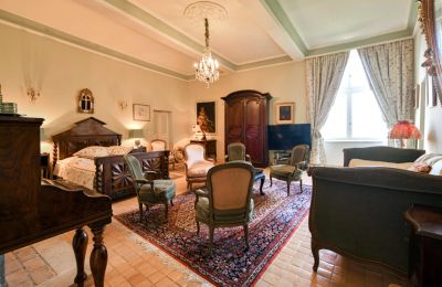 Hrad na prodej Pouzilhac, Occitanie, Foto 22/43