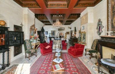 Hrad na prodej Pouzilhac, Occitanie, Foto 14/43